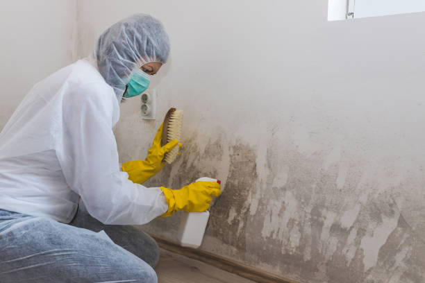 Best Mold Inspection  in Kiefer, OK