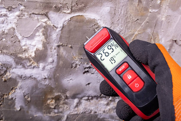 Best Mold Inspection  in Kiefer, OK