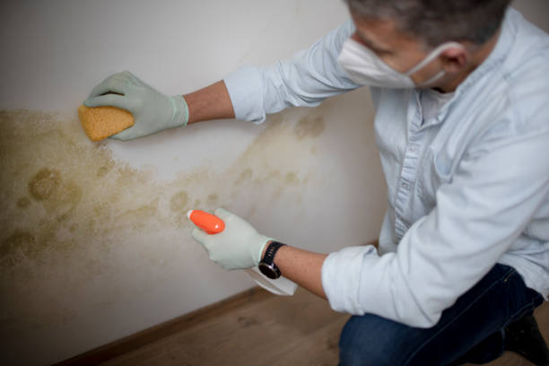 Mold Testing and Removal in Kiefer, OK