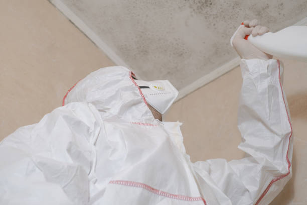 Best Mold Testing  in Kiefer, OK