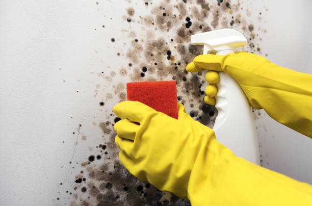 Best Water Damage Restoration  in Kiefer, OK