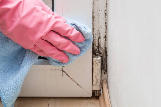 Best Office Mold Removal Services  in Kiefer, OK
