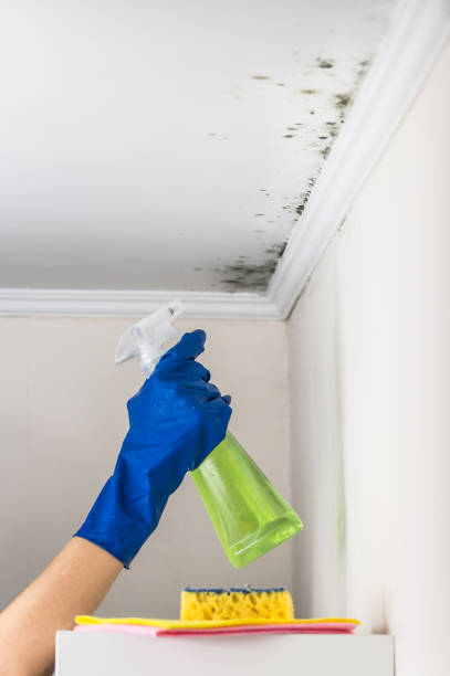 Best Commercial Mold Removal  in Kiefer, OK