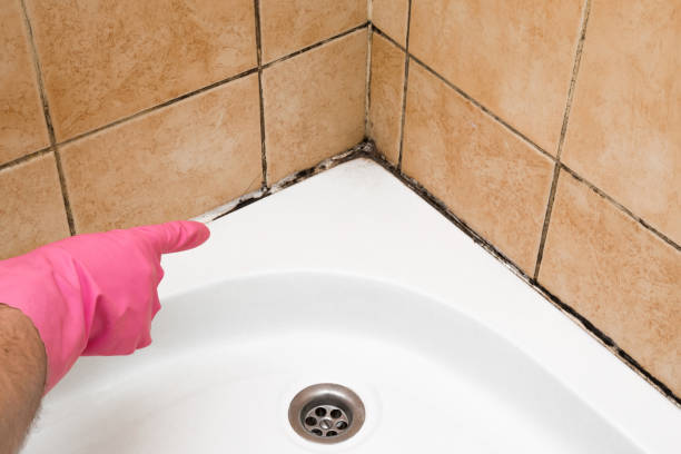 Best Certified Mold Removal  in Kiefer, OK